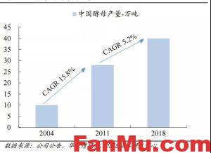 企业投资制胜的三大关键性要素（以安琪酵母为例）_繁木网