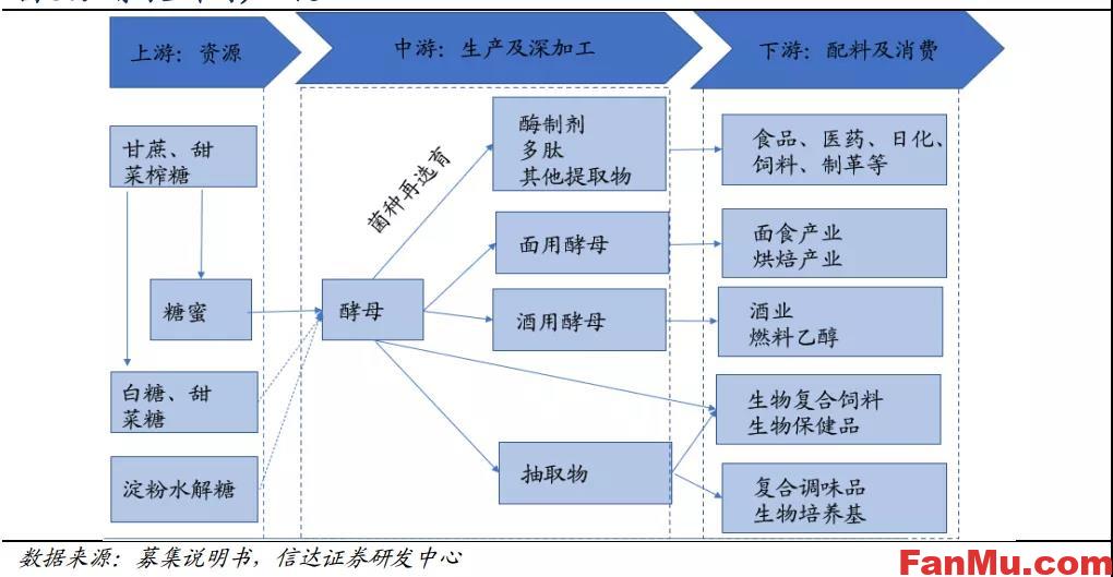 图片[2]_企业投资制胜的三大关键性要素（以安琪酵母为例）_繁木网