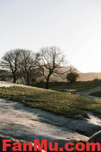 在美国购买土地最便宜的地方_繁木网