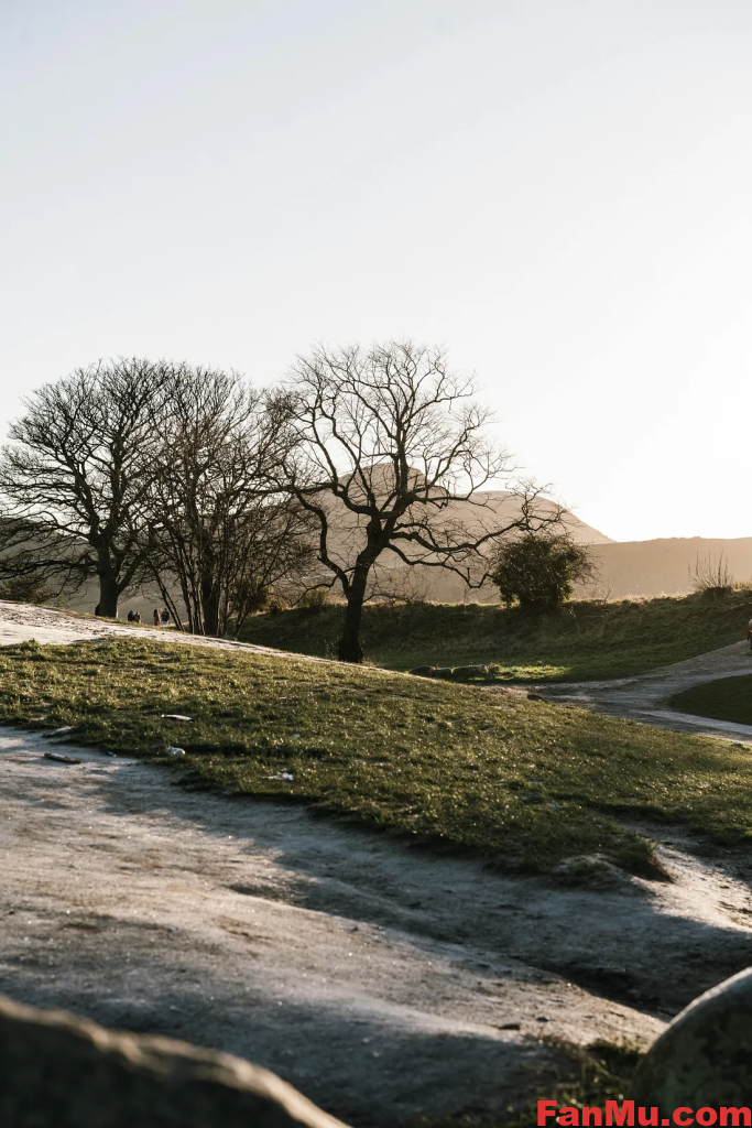 在美国购买土地最便宜的地方_繁木网